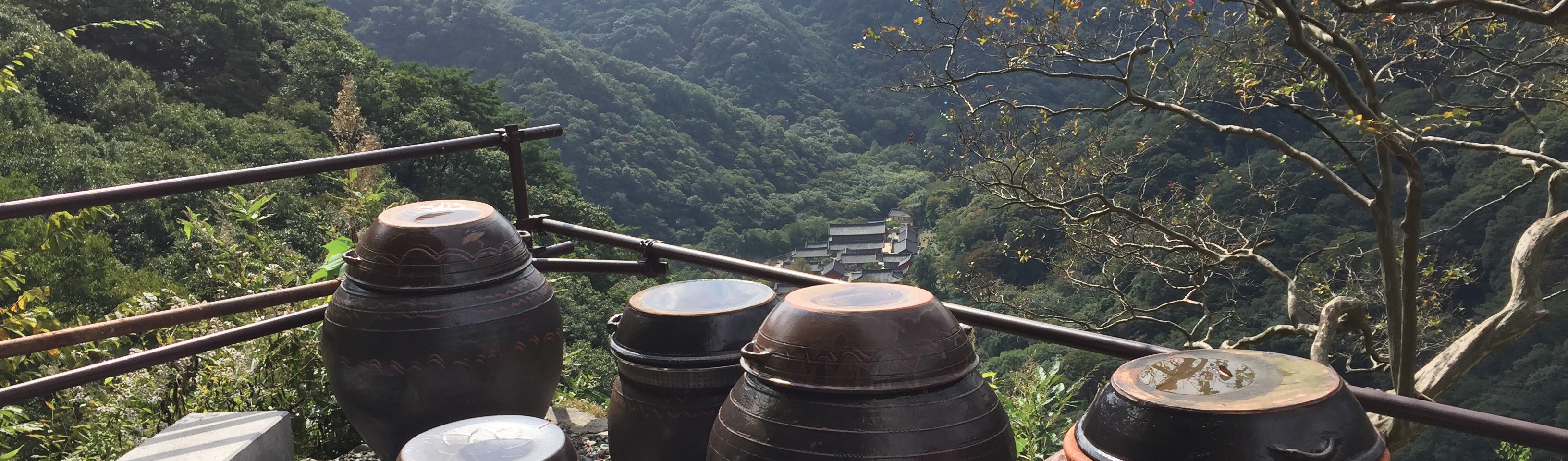 Séjours au temple : le souffle de la tranquillité