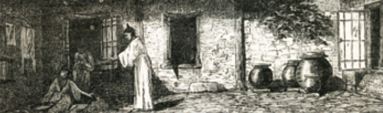 Henri Zuber, un étonnant témoin de l’expédition de l’amiral Roze