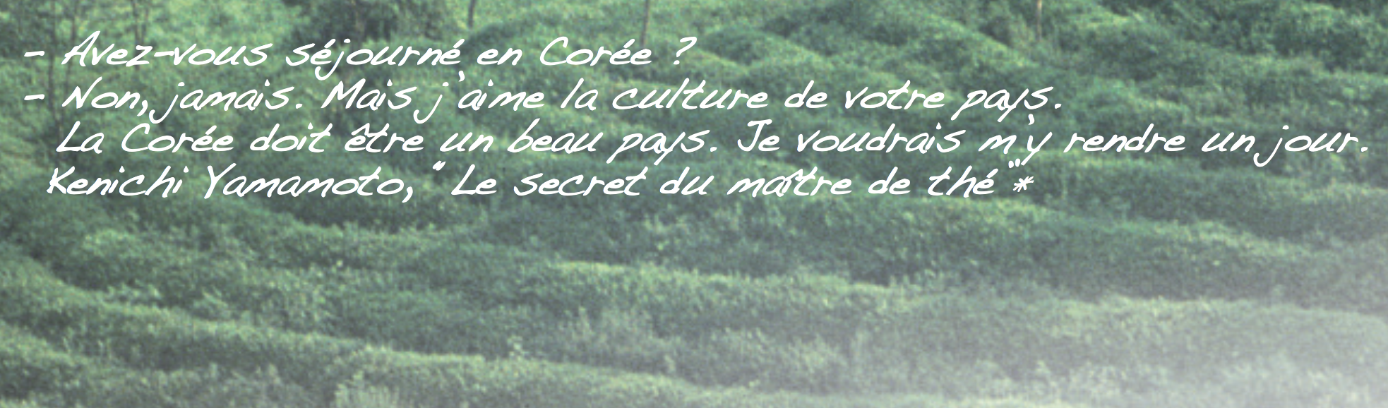 Corée, les monastères du thé